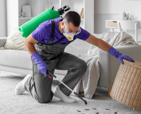 How a Pest Control Company Dropped Cost-Per-Lead from $91 to $37 and Scaled to 100+ Monthly Leads with a Google Ads Overhaul