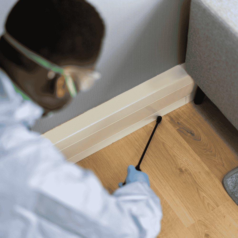 pest control Company case study
